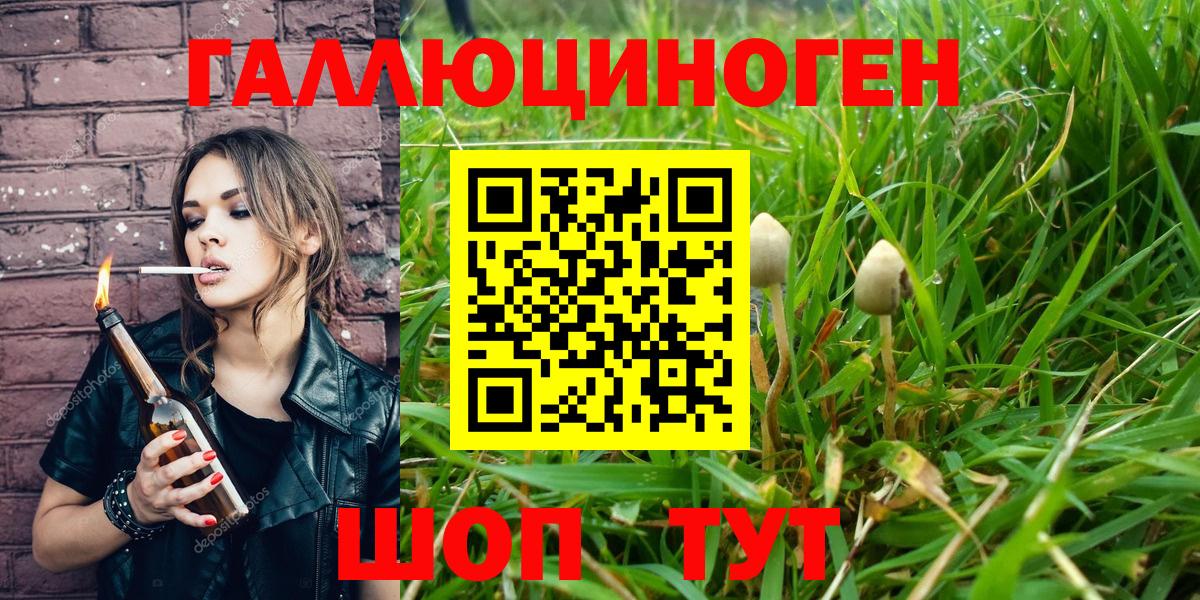 Соль-Илецк  Галлюциногенные грибы мицелий  Галлюциногенные грибы ЛСД  Вход с VPN 